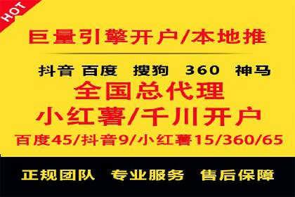 百度竞价广告投放全解析：成功案例揭秘